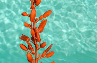 Petit Paradis Mazet - Photo 33