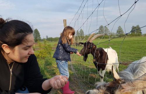 Gospodarstwo "Na Łęgach" - Foto 16