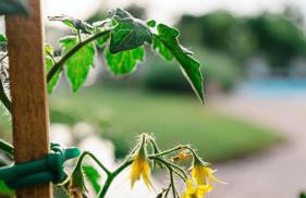 Apartment ENJOY BLUE, with pool & pets welcome - Foto 27