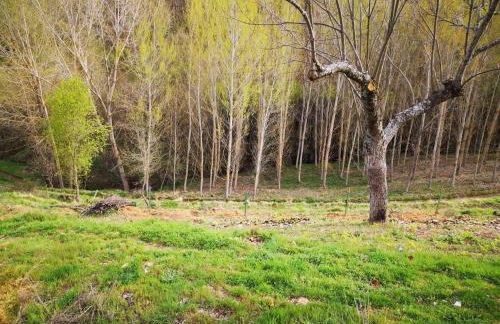 Alojamento Local Madre de Cima - Foto 42