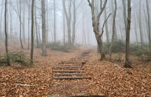 Apartamenty na Wzgórzu Boho 1- Jacuzzi, sauna, survival, free parking - Foto 30