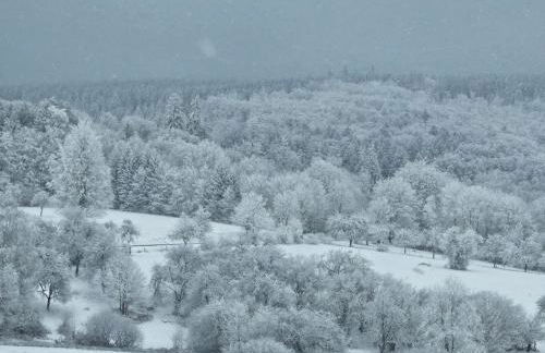 Ferienwohnung Am Bonzenberg - Foto 28