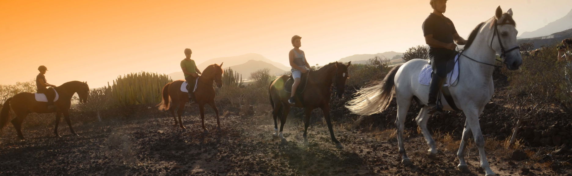 Passeggiata a cavallo nel sud di Tenerife