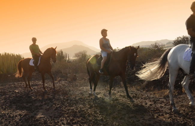 Passeio a cavalo pelo sul de Tenerife - Foto 1