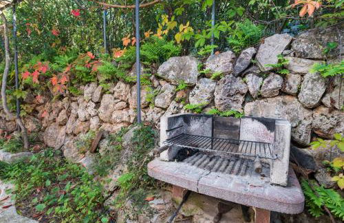 Can Divertit - Foto 8