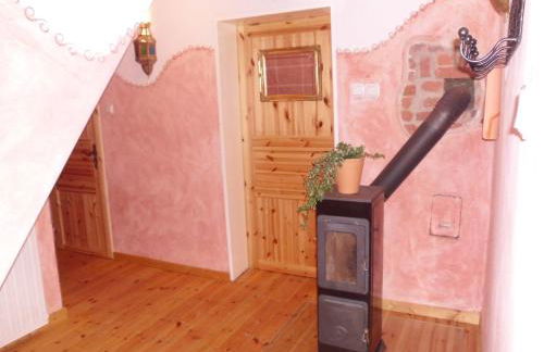 Rhumeblume - Foto 21