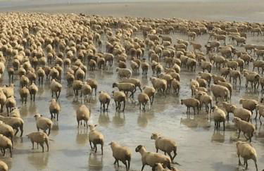 AUTHENTIQUE MAISON DE PECHEUR ENTRE-TERRE & MER Avec Un POÊLE À BOIS A Disposition - Foto 65