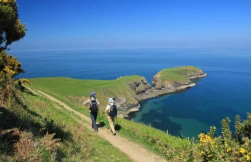 Ddol Cottage Traditional Coastal cottage nr Llangrannog & New Quay with Donkeys - Photo 24
