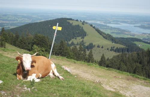 3-Zi Atelierdachwohnung mit Bergblick Seenähe und 2 Loggia - Foto 38