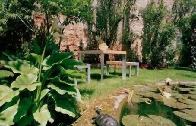 Palazzo Soderini - Photo 32