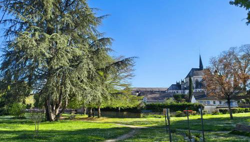 Gîte de charme proche du Zoo Beauval et Châteaux - Foto 2