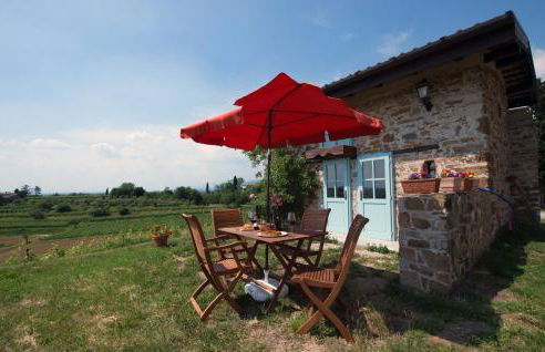 Casali del Picchio - Winery - Foto 21