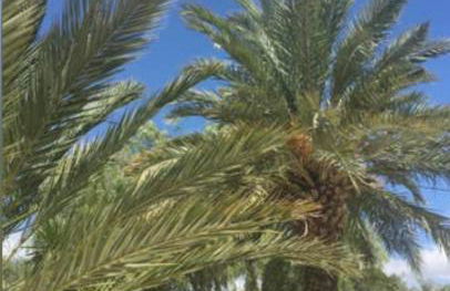 Casa Molera - Foto 49