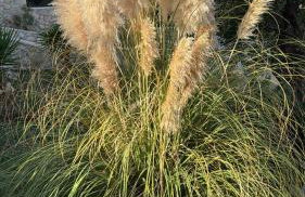 Villa Sasà - Foto 77