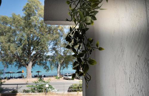 SERENITY LIGIA LEFKAS a - Photo 7