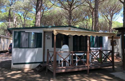 Buona Mobile Homes on Camping Mare e Pineta - Foto 54