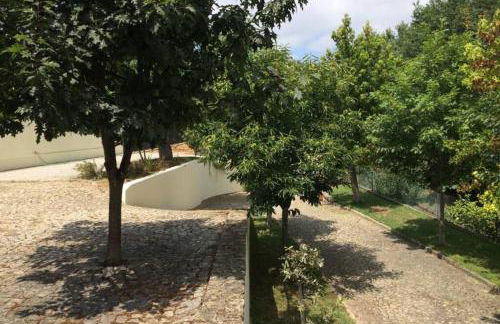 Casa de Madeira - Foto 14