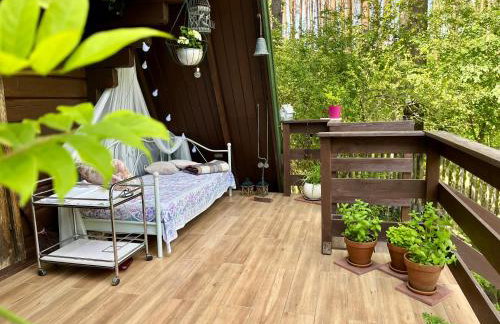 House in the forest in Podlasie - Foto 4