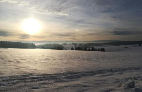 Ferienwohnung Hasenfratz - Foto 31