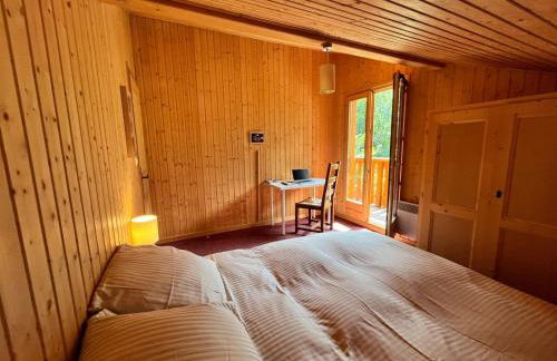 Family-friendly Self-catering Chalet Rental in Abondance - Sleeps 12 Portes du Soleil - Photo 15