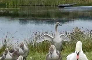 Couston Lakes Resorts - Photo 58