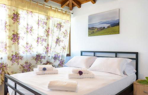 Panorama Studios - Foto 3