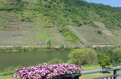 Ferienwohnung am Weingarten - Foto 12