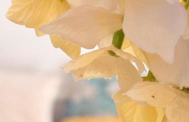 Villa Fanouris - Foto 19