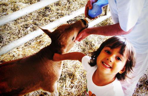 Fattoria Bio L'A Ceccoli - Foto 40