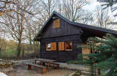 WOODEN HOUSE near the River Kupa - Foto 29