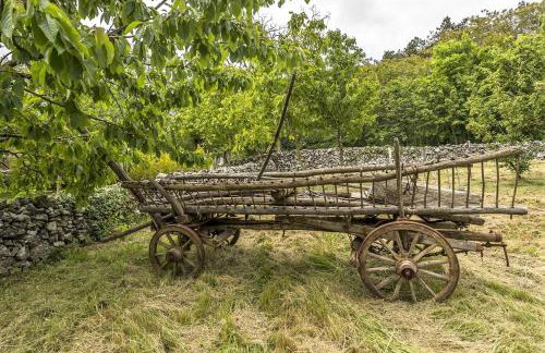 Village Miljavci - Photo 34