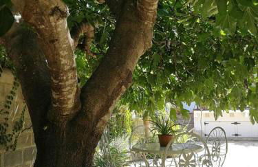 Casa La Higuera - Foto 1