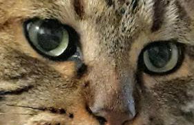 Tenuta Colverano - Foto 2