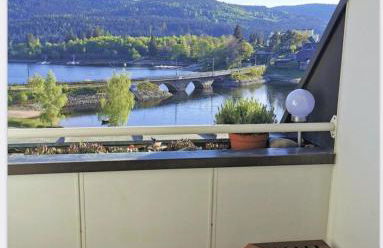 Apartment Blackforest-Schluchsee - Photo 2