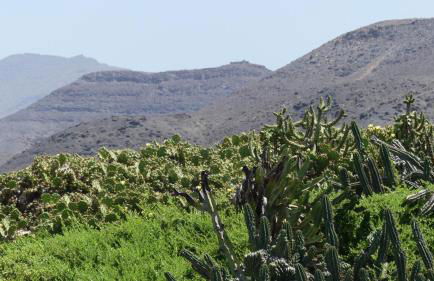 Penthouse Sunrise Blue Ocean View - Foto 17