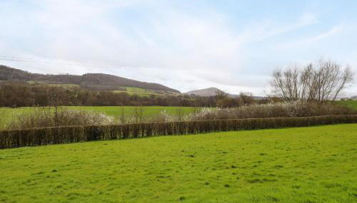 Sunny Cottage - Photo 2