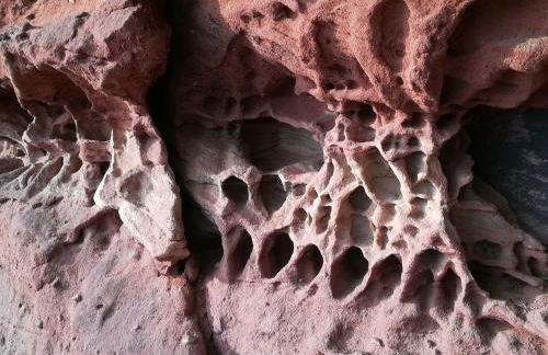 Luise Im Künstlerhaus - Foto 22