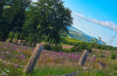 Ferienwohnungen Dorfliebe Dörnberg - Foto 54