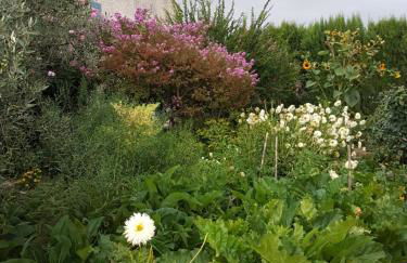 Gite Les Lavandes - Photo 45