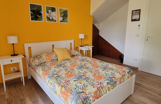 Talia Residence - Foto 31