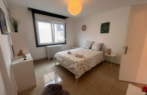 Appartement 70m2 Illkirch centre - Foto 12