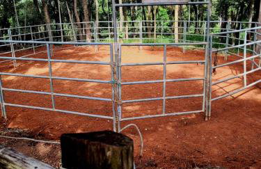 Exclusivo Haras Marilu! - Foto 53