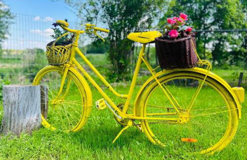 Seosko Imanje Na Obali Rijeke - Foto 23