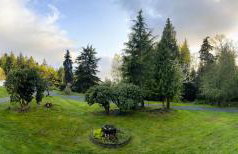 Encanto House A Forest Haven - Foto 2