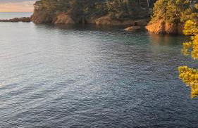 Appartement 2 chambres dans résidence avec piscine et parking - Foto 29