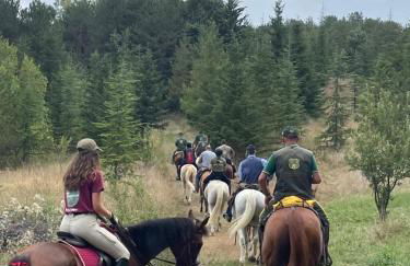 La Dimora di Armida - Foto 14