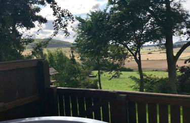 Silver Birch Lodge With Hot Tub Near Cupar, Fife - Foto 3