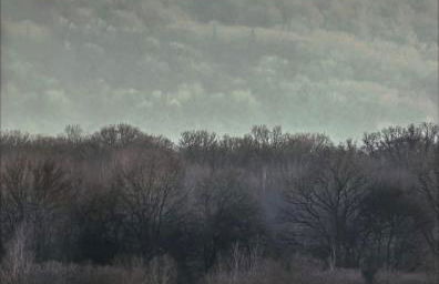 Gîte des Vignes à Viéville-sous-les-Côtes Escapade nature et patrimoine Meuse - Foto 31