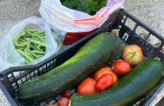 Seoska idila, Krivići - Foto 10