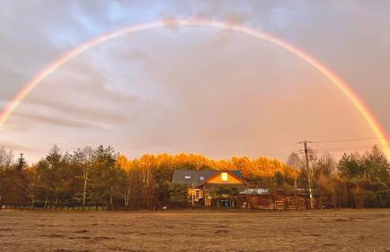 Raj na Kaszubach - Pałubicka Bór - Domy na Wynajem - Foto 54